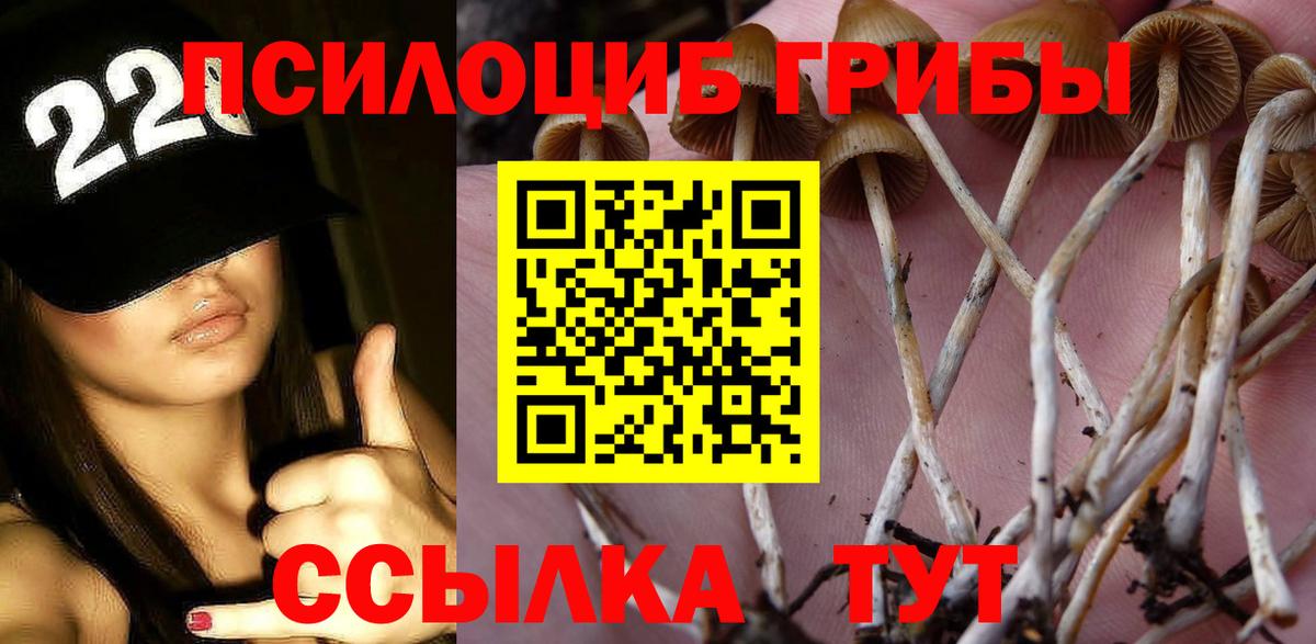 Галлюциногенные грибы прущие грибы  Вход с VPN  Урай 