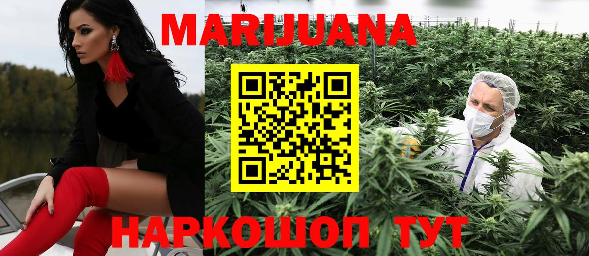 Канабис планчик Урай